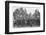 An al fresco lecture, Hyde Park, London, c1900 (1901)-Unknown-Framed Photographic Print