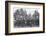 An al fresco lecture, Hyde Park, London, c1900 (1901)-Unknown-Framed Photographic Print