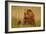 An Alaska Brown Bear Sow Sitting in a Sedge Grass Field. Lake Clark National Park, Alaska-Andrew Czerniak-Framed Photographic Print