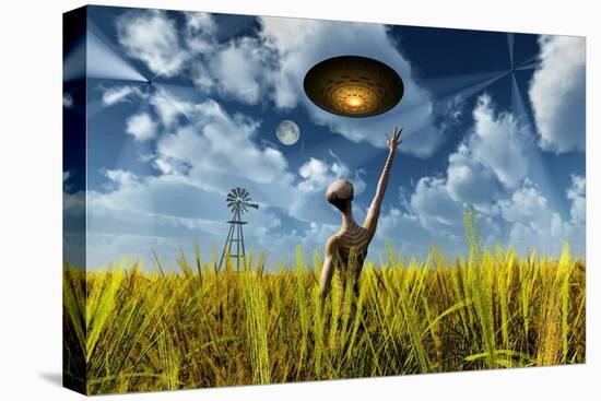 Stretched Canvas Print, , large