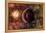 An Alien Planet and its Moon in Orbit around a Red Giant Star-null-Framed Stretched Canvas