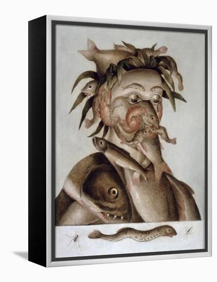 An Allegory of Water-Giuseppe Arcimboldo-Framed Premier Image Canvas