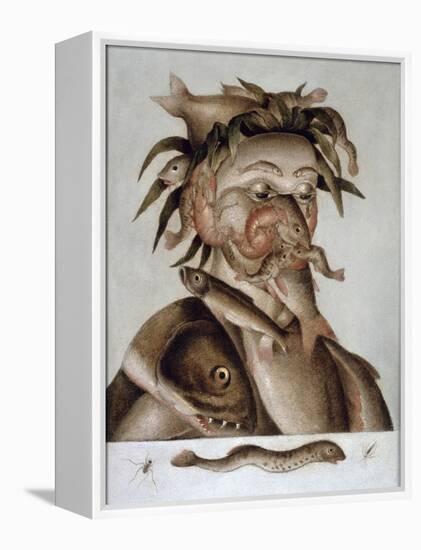 An Allegory of Water-Giuseppe Arcimboldo-Framed Premier Image Canvas