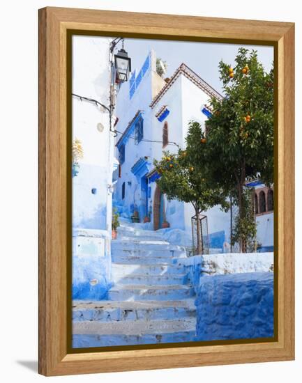 An Alleyway in the Medina, Chefchaouen, Morocco-A_nella-Framed Premier Image Canvas