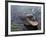 An Alligator Leaps from the Water in the Louisiana Bayou-null-Framed Photographic Print