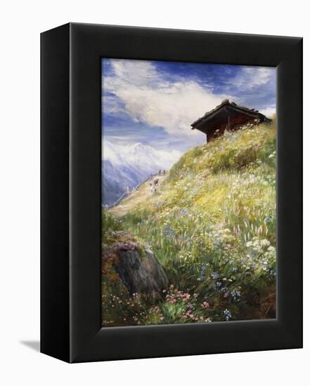 An Alpine Meadow, Switzerland-John MacWhirter-Framed Premier Image Canvas