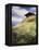 An Alpine Meadow, Switzerland-John MacWhirter-Framed Premier Image Canvas