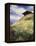 An Alpine Meadow, Switzerland-John MacWhirter-Framed Premier Image Canvas