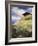 An Alpine Meadow, Switzerland-John MacWhirter-Framed Giclee Print