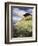 An Alpine Meadow, Switzerland-John MacWhirter-Framed Giclee Print