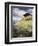 An Alpine Meadow, Switzerland-John MacWhirter-Framed Giclee Print