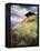 An Alpine Meadow, Switzerland-John MacWhirter-Framed Premier Image Canvas