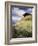 An Alpine Meadow, Switzerland-John MacWhirter-Framed Giclee Print