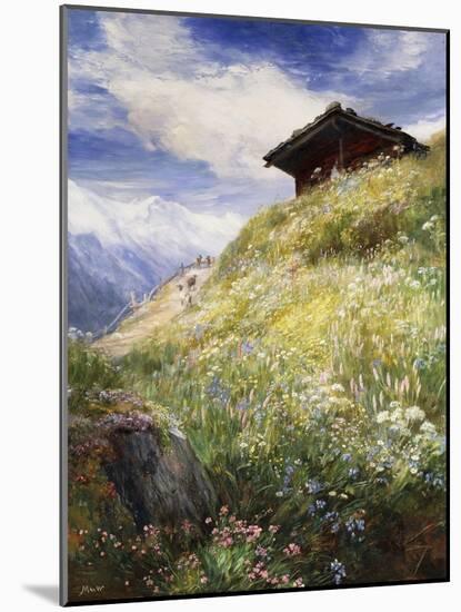 An Alpine Meadow, Switzerland-John MacWhirter-Mounted Giclee Print