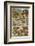 An Amazing Illustration Covering the Whole Range of Reptilian Species from Snakes to Newts-null-Framed Photographic Print