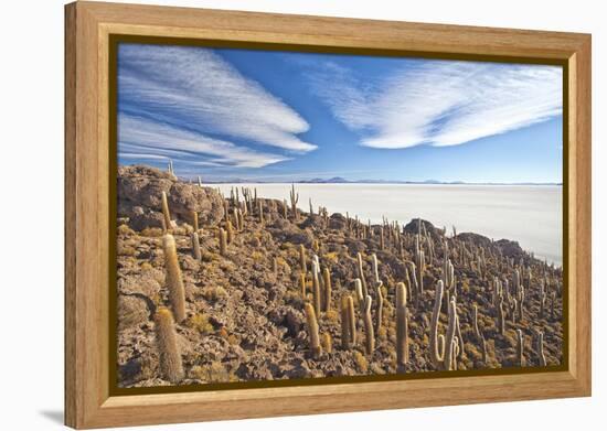 An Amazing View from the Top of the Isla Incahuasi, Salar De Uyuni, Bolivia, South America-Roberto Moiola-Framed Premier Image Canvas