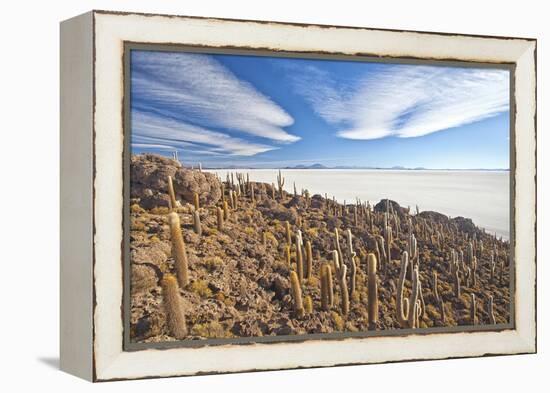 An Amazing View from the Top of the Isla Incahuasi, Salar De Uyuni, Bolivia, South America-Roberto Moiola-Framed Premier Image Canvas