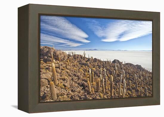 An Amazing View from the Top of the Isla Incahuasi, Salar De Uyuni, Bolivia, South America-Roberto Moiola-Framed Premier Image Canvas