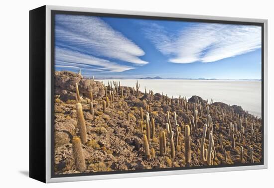 An Amazing View from the Top of the Isla Incahuasi, Salar De Uyuni, Bolivia, South America-Roberto Moiola-Framed Premier Image Canvas