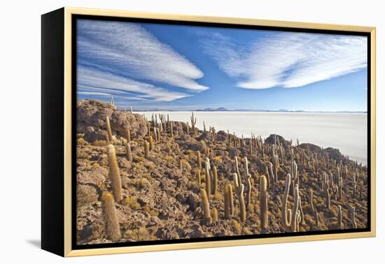 An Amazing View from the Top of the Isla Incahuasi, Salar De Uyuni, Bolivia, South America-Roberto Moiola-Framed Premier Image Canvas