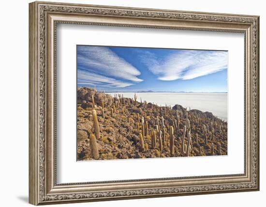 An Amazing View from the Top of the Isla Incahuasi, Salar De Uyuni, Bolivia, South America-Roberto Moiola-Framed Photographic Print