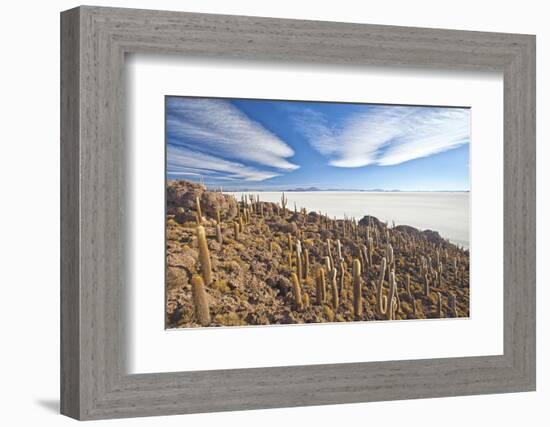 An Amazing View from the Top of the Isla Incahuasi, Salar De Uyuni, Bolivia, South America-Roberto Moiola-Framed Photographic Print