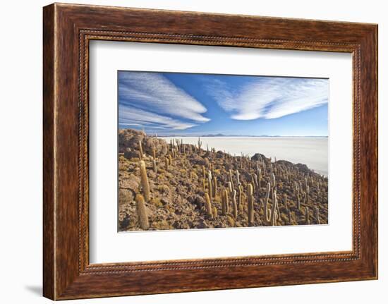 An Amazing View from the Top of the Isla Incahuasi, Salar De Uyuni, Bolivia, South America-Roberto Moiola-Framed Photographic Print