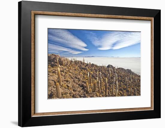 An Amazing View from the Top of the Isla Incahuasi, Salar De Uyuni, Bolivia, South America-Roberto Moiola-Framed Photographic Print