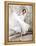 An American in Paris, Leslie Caron, 1951-null-Framed Stretched Canvas