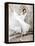 An American in Paris, Leslie Caron, 1951-null-Framed Stretched Canvas