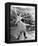 An American in Paris-null-Framed Stretched Canvas