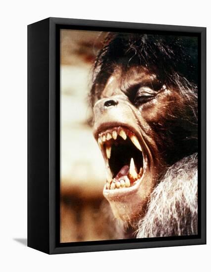 An American Werewolf in London-null-Framed Stretched Canvas