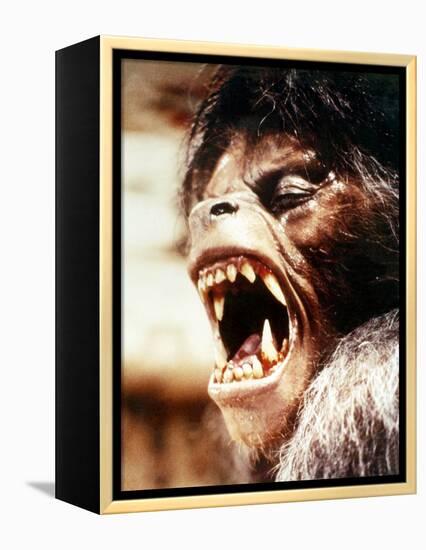 An American Werewolf in London-null-Framed Stretched Canvas