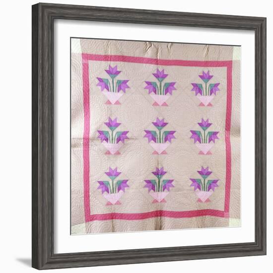 An Amish Pieced and Appliqued Cotton Quilted Coverlet, circa 1930-null-Framed Giclee Print