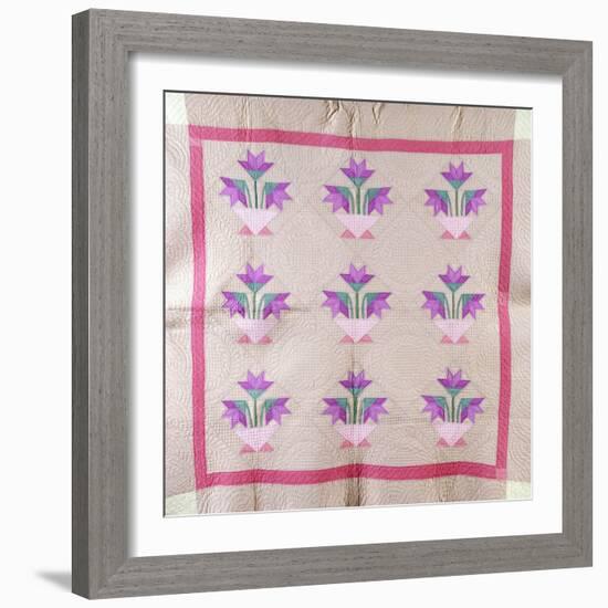 An Amish Pieced and Appliqued Cotton Quilted Coverlet, circa 1930-null-Framed Giclee Print