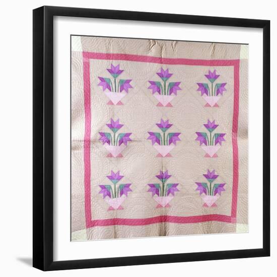 An Amish Pieced and Appliqued Cotton Quilted Coverlet, circa 1930-null-Framed Giclee Print