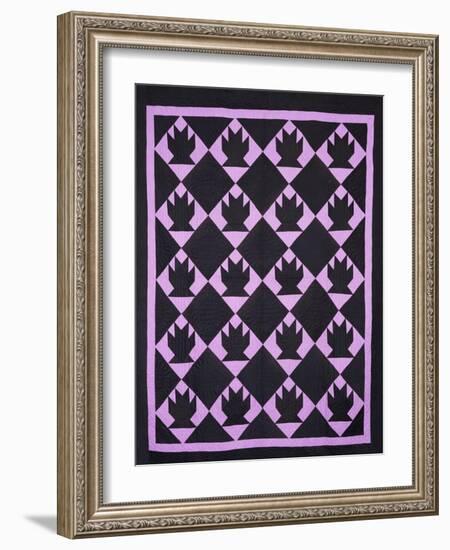 An Amish Pieced & Quilted Cotton Coverlet, Indiana or Ohio, circa 1910-null-Framed Giclee Print