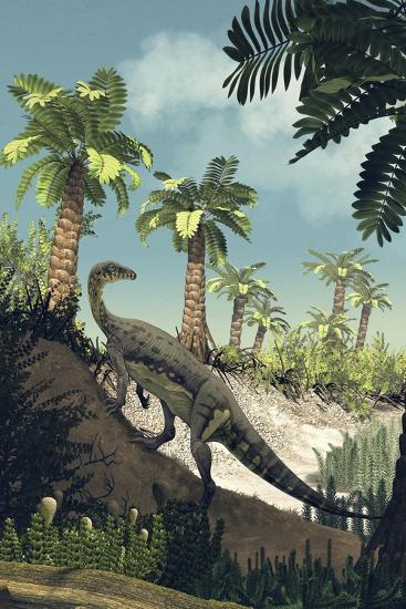 Art Print, , large