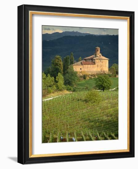 An Ancient Fortified Wine Cantina, Tenuta La Volta, Near Barolo, Piemonte, Italy, Europe-Newton Michael-Framed Photographic Print