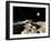 An Ancient Lava Flow on Earth's Moon-Stocktrek Images-Framed Photographic Print