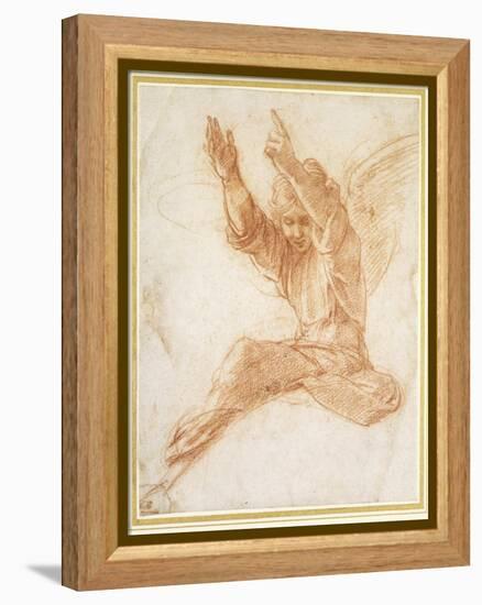 An Angel-Raphael-Framed Premier Image Canvas