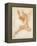 An Angel-Raphael-Framed Premier Image Canvas