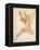 An Angel-Raphael-Framed Premier Image Canvas