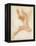 An Angel-Raphael-Framed Premier Image Canvas