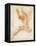 An Angel-Raphael-Framed Premier Image Canvas