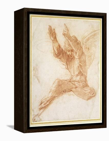An Angel-Raphael-Framed Premier Image Canvas