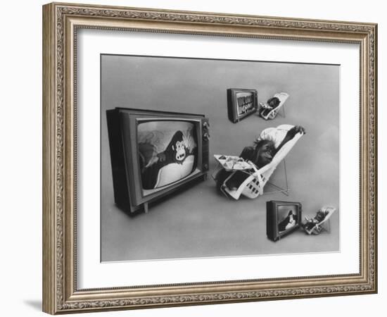 An Ape Participating in a Study of Ape Addiction to Tv-Yale Joel-Framed Photographic Print