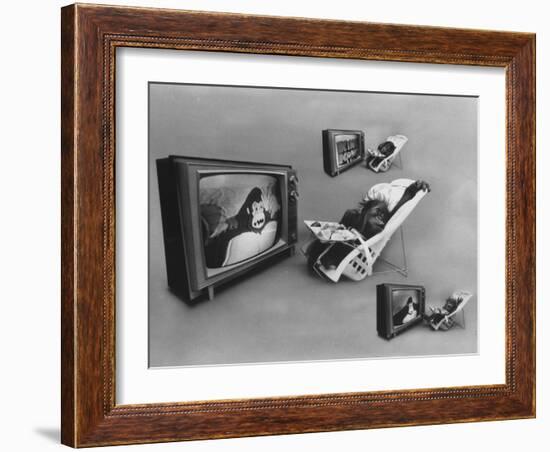 An Ape Participating in a Study of Ape Addiction to Tv-Yale Joel-Framed Photographic Print