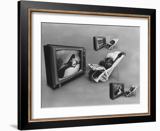 An Ape Participating in a Study of Ape Addiction to Tv-Yale Joel-Framed Photographic Print