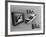 An Ape Participating in a Study of Ape Addiction to Tv-Yale Joel-Framed Photographic Print